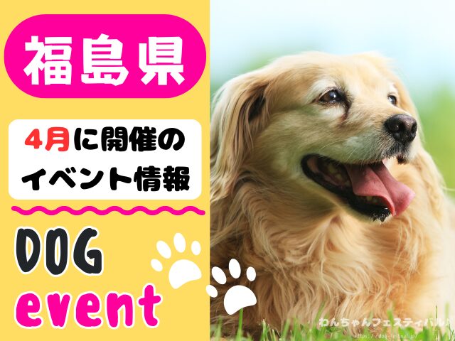犬イベント 東北地方 青森県 岩手県 秋田県 宮城県 山形県 福島県 2026年 4月