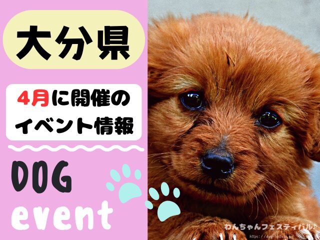 犬イベント　九州　福岡県　佐賀県　長崎県　熊本県　大分県　宮崎県　鹿児島県　2026年　4月