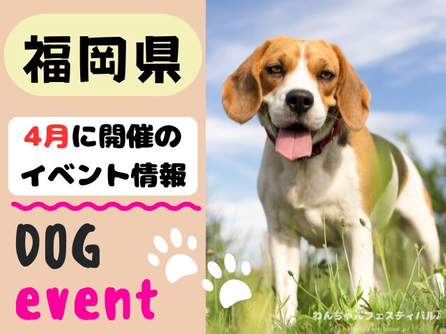 犬イベント　九州　福岡県　佐賀県　長崎県　熊本県　大分県　宮崎県　鹿児島県　2026年　4月