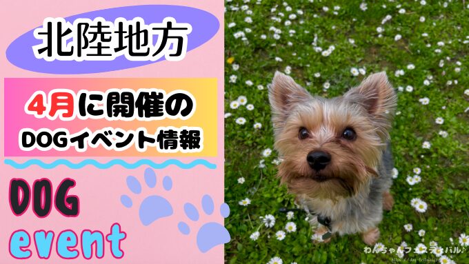 北陸地方　犬イベント　一覧　開催場所　日程　2026　4月