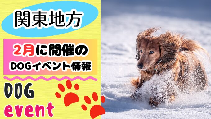 【関東2月】犬イベント一覧2026年度版！開催場所と日程を知ってワンコと触れ合おう！