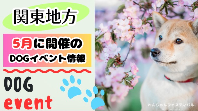 【関東5月】犬イベント一覧2026年度版！開催場所と日程を知ってワンコと触れ合おう！