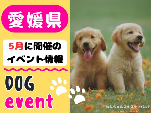愛媛　犬イベント　5月