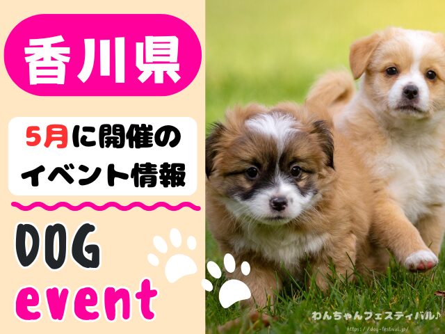 香川　犬イベント　5月
