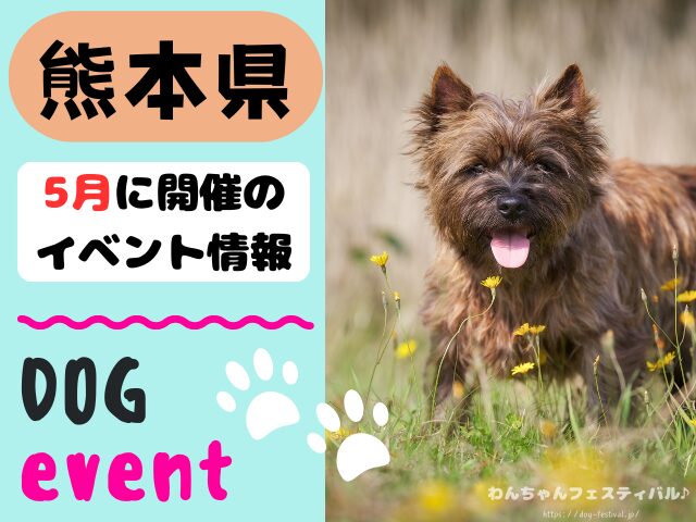犬イベント 九州 福岡県 佐賀県 長崎県 熊本県 大分県 宮崎県 鹿児島県 2026年 5月
