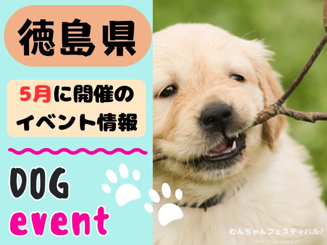 徳島　犬イベント　5月