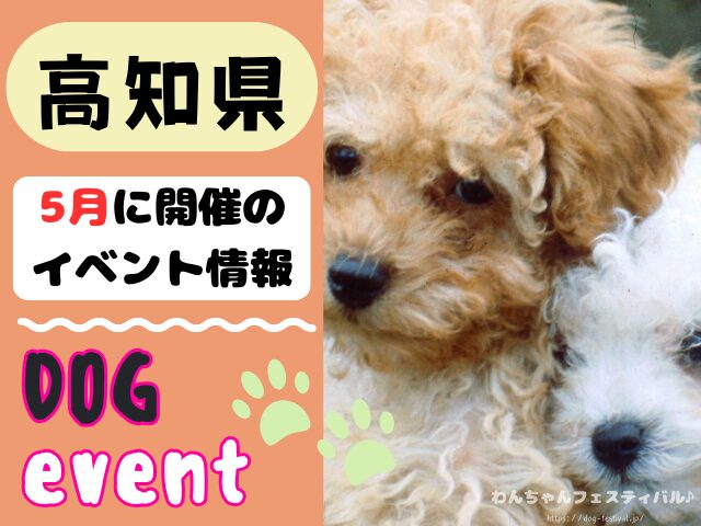 高知　犬イベント　5月