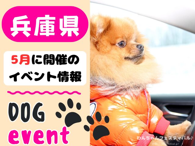 関西　犬イベント　一覧　開催場所　日程　2026　5月　大阪府　京都府　兵庫県　奈良県　滋賀県　和歌山県
