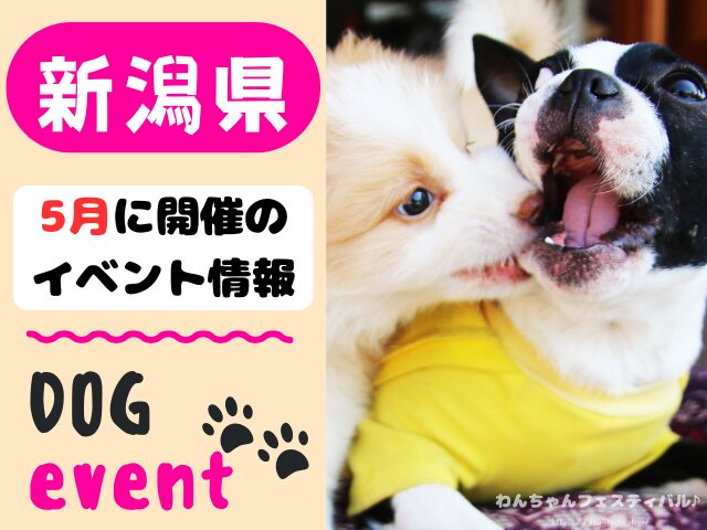 犬イベント　北陸地方　新潟県　富山県　石川県　福井県　2026年　5月