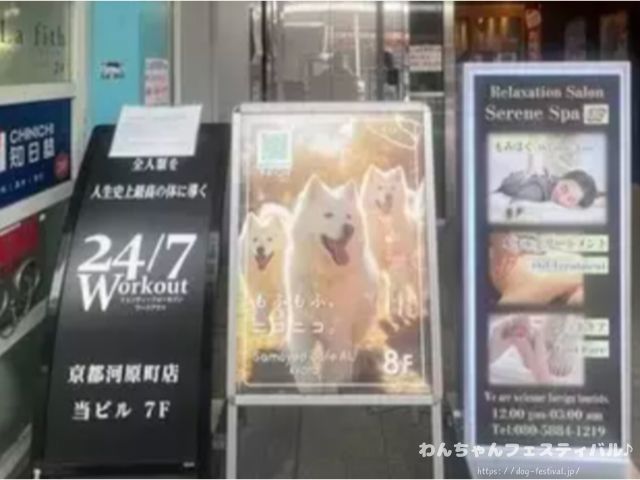 京都　サモエドカフェ
