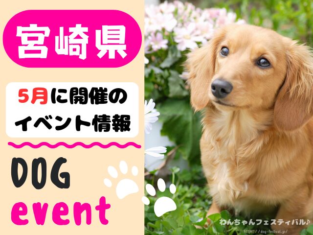 犬イベント 九州 福岡県 佐賀県 長崎県 熊本県 大分県 宮崎県 鹿児島県 2026年 5月