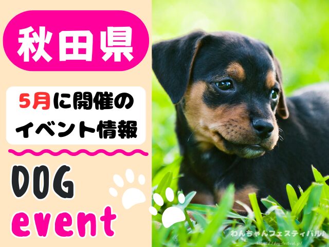 犬イベント　東北地方　青森県　岩手県　秋田県　宮城県　山形県　福島県　2026年　5月