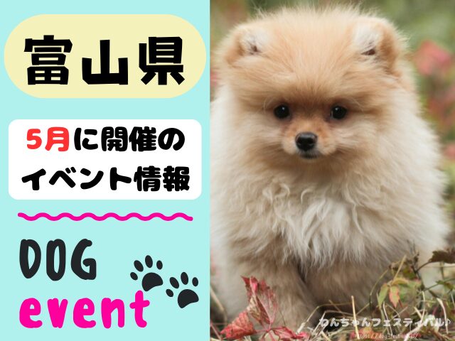 犬イベント　北陸地方　新潟県　富山県　石川県　福井県　2026年　5月