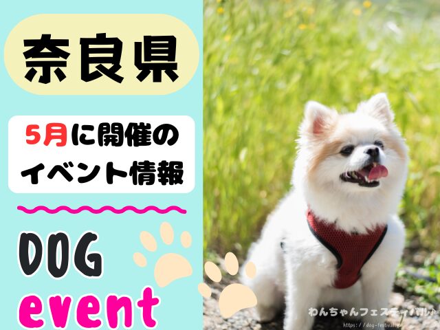 関西　犬イベント　一覧　開催場所　日程　2026　5月　大阪府　京都府　兵庫県　奈良県　滋賀県　和歌山県