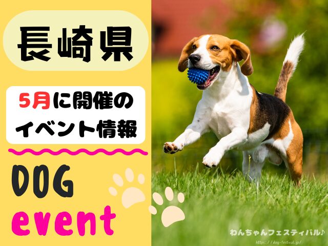犬イベント 九州 福岡県 佐賀県 長崎県 熊本県 大分県 宮崎県 鹿児島県 2026年 5月
