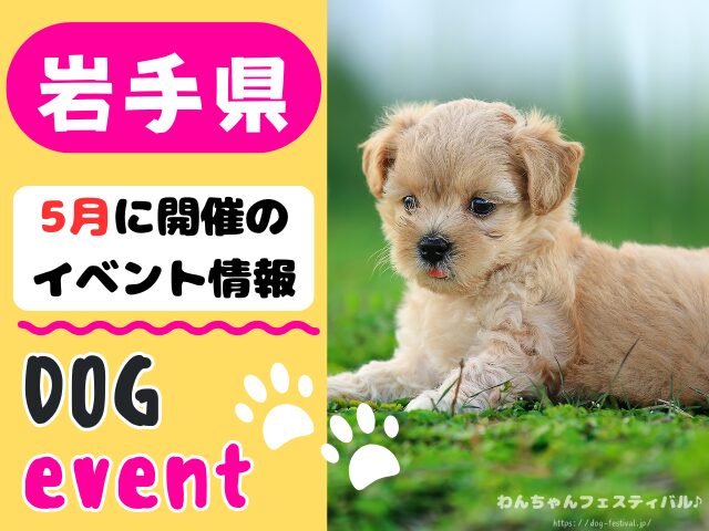 犬イベント　東北地方　青森県　岩手県　秋田県　宮城県　山形県　福島県　2026年　5月