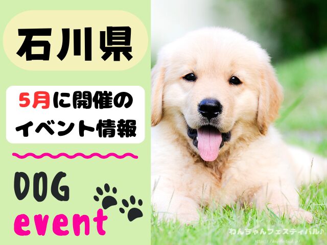 犬イベント　北陸地方　新潟県　富山県　石川県　福井県　2026年　5月