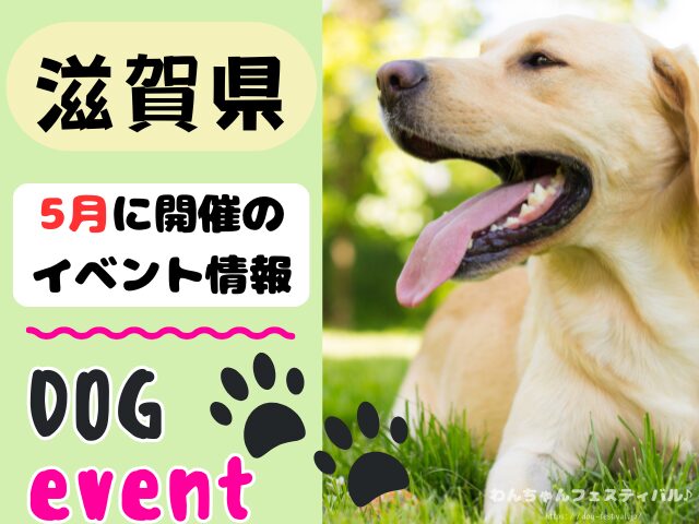 関西　犬イベント　一覧　開催場所　日程　2026　5月　大阪府　京都府　兵庫県　奈良県　滋賀県　和歌山県