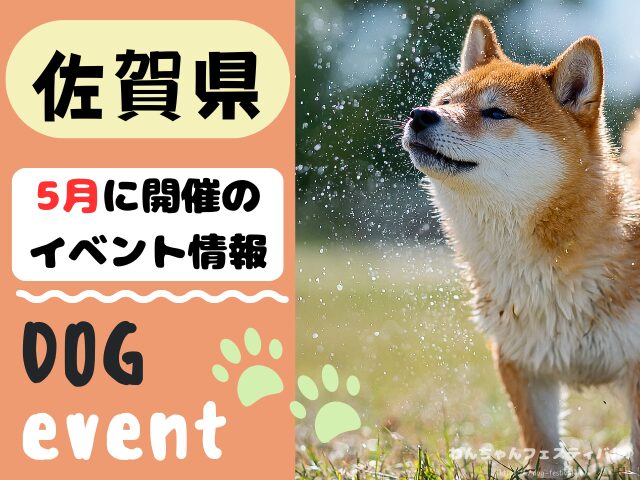 犬イベント 九州 福岡県 佐賀県 長崎県 熊本県 大分県 宮崎県 鹿児島県 2026年 5月