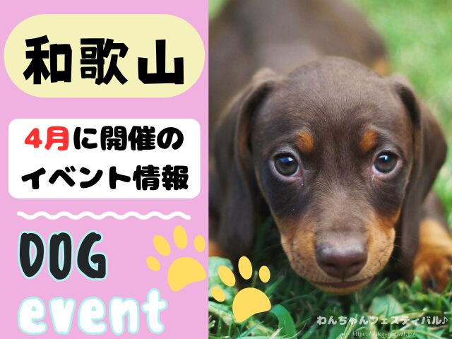 関西 犬イベント 一覧 開催場所 日程 2026 4月 大阪府 京都府 兵庫県 奈良県 滋賀県 和歌山県