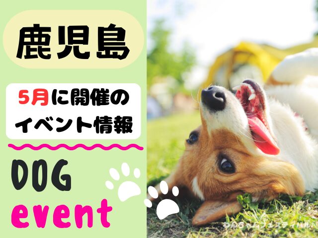 犬イベント 九州 福岡県 佐賀県 長崎県 熊本県 大分県 宮崎県 鹿児島県 2026年 5月