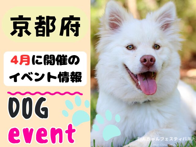 関西 犬イベント 一覧 開催場所 日程 2026 4月 大阪府 京都府 兵庫県 奈良県 滋賀県 和歌山県