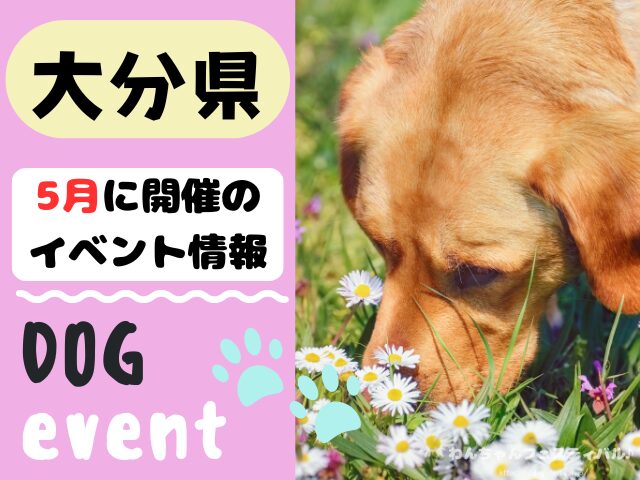 犬イベント 九州 福岡県 佐賀県 長崎県 熊本県 大分県 宮崎県 鹿児島県 2026年 5月