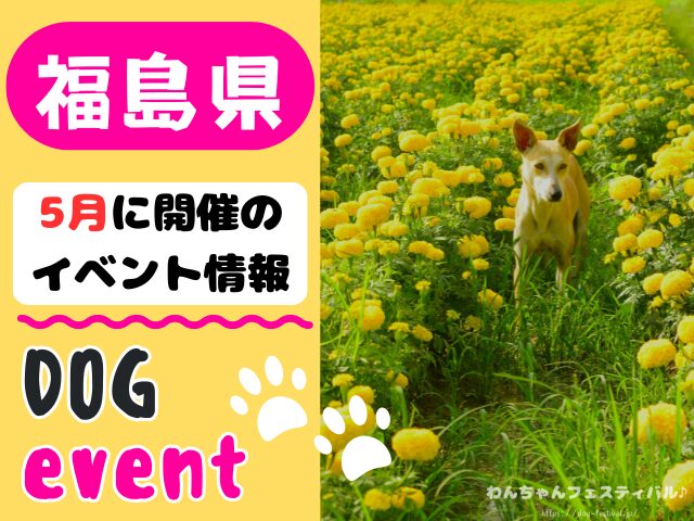 犬イベント　東北地方　青森県　岩手県　秋田県　宮城県　山形県　福島県　2026年　5月