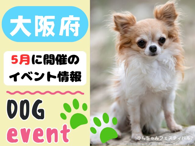 関西　犬イベント　一覧　開催場所　日程　2026　5月　大阪府　京都府　兵庫県　奈良県　滋賀県　和歌山県