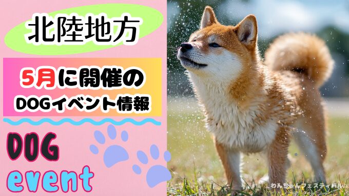 北陸地方　犬イベント　一覧　開催場所　日程　2026　5月