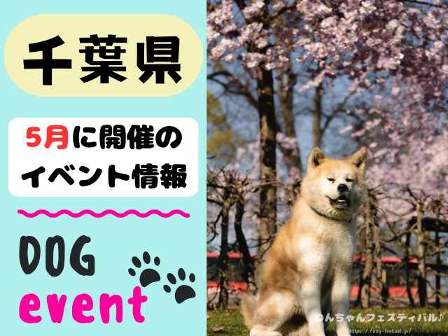 犬イベント　関東地区　東京都　千葉県　神奈川県　埼玉県　群馬県　栃木県　茨城県　2026年　5月