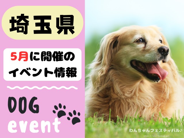 犬イベント　関東地区　東京都　千葉県　神奈川県　埼玉県　群馬県　栃木県　茨城県　2026年　5月
