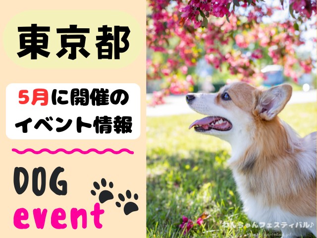 犬イベント　関東地区　東京都　千葉県　神奈川県　埼玉県　群馬県　栃木県　茨城県　2026年　5月