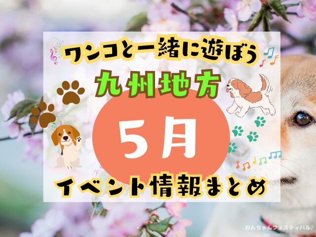 犬イベント　九州　福岡県　佐賀県　長崎県　熊本県　大分県　宮崎県　鹿児島県　2026年　5月