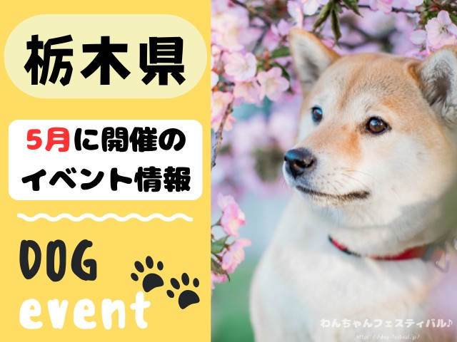 犬イベント　関東地区　東京都　千葉県　神奈川県　埼玉県　群馬県　栃木県　茨城県　2026年　5月