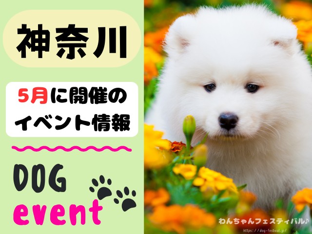 犬イベント　関東地区　東京都　千葉県　神奈川県　埼玉県　群馬県　栃木県　茨城県　2026年　5月