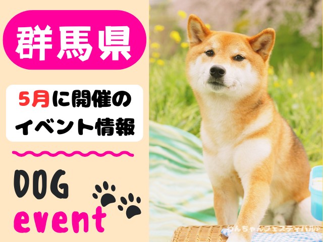 犬イベント　関東地区　東京都　千葉県　神奈川県　埼玉県　群馬県　栃木県　茨城県　2026年　5月
