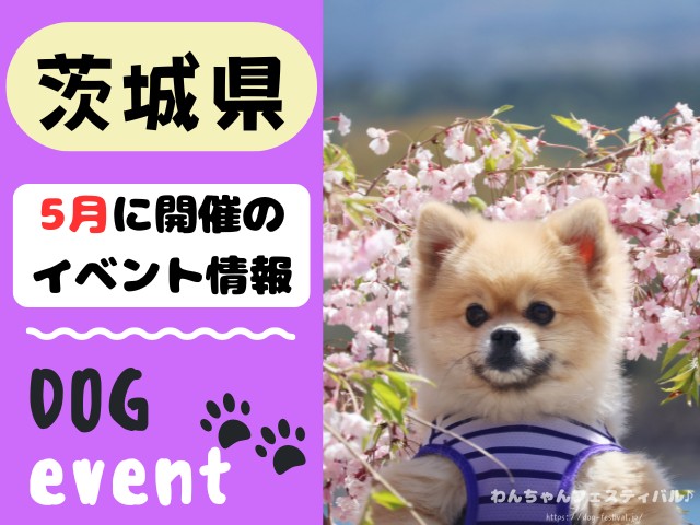 犬イベント　関東地区　東京都　千葉県　神奈川県　埼玉県　群馬県　栃木県　茨城県　2026年　5月