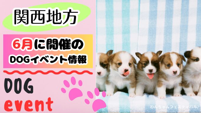 【2026年6月】関西の犬イベント一覧！開催場所と日程を知って楽しもう！