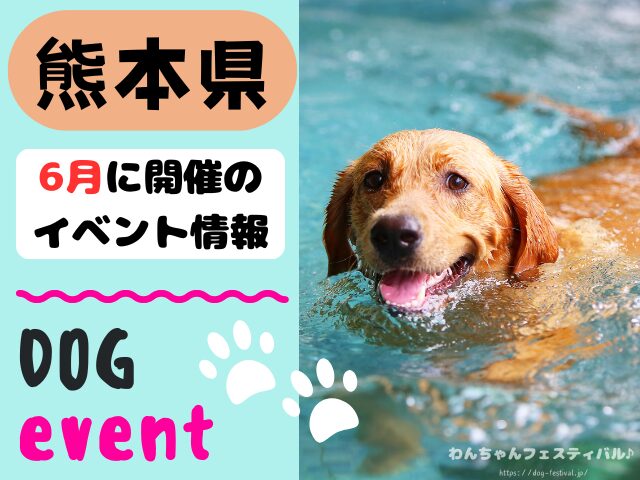 犬イベント　九州　福岡県　佐賀県　長崎県　熊本県　大分県　宮崎県　鹿児島県　2026年　6月