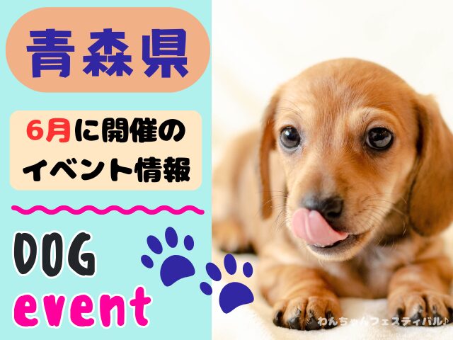 犬イベント　東北地方　青森県　岩手県　秋田県　宮城県　山形県　福島県　2026年　6月