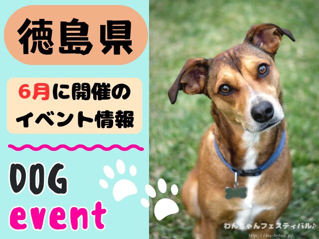 徳島　犬イベント　6月