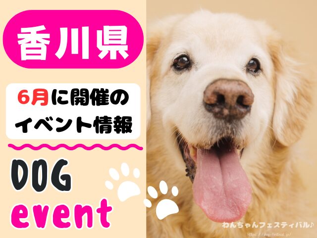 香川　犬イベント　6月