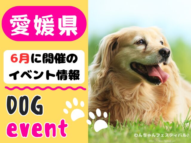 愛媛　犬イベント　6月