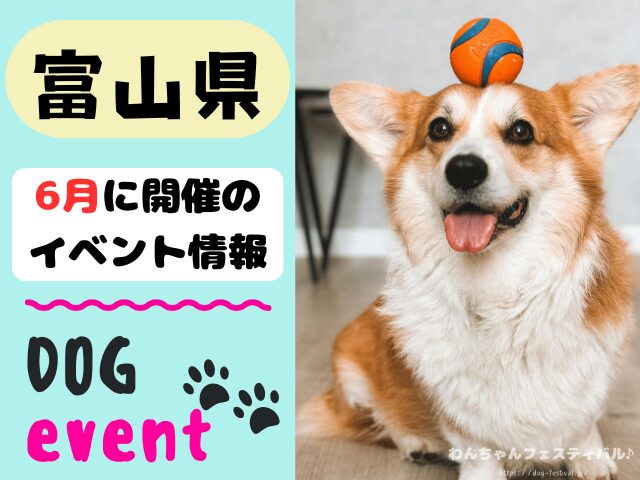 犬イベント　北陸地方　新潟県　富山県　石川県　福井県　2026年　6月