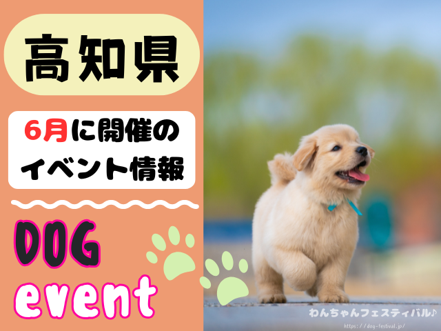 高知　犬イベント　6月