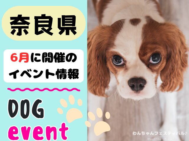 関西　犬イベント　一覧　開催場所　日程　2026　6月　大阪府　京都府　兵庫県　奈良県　滋賀県　和歌山県