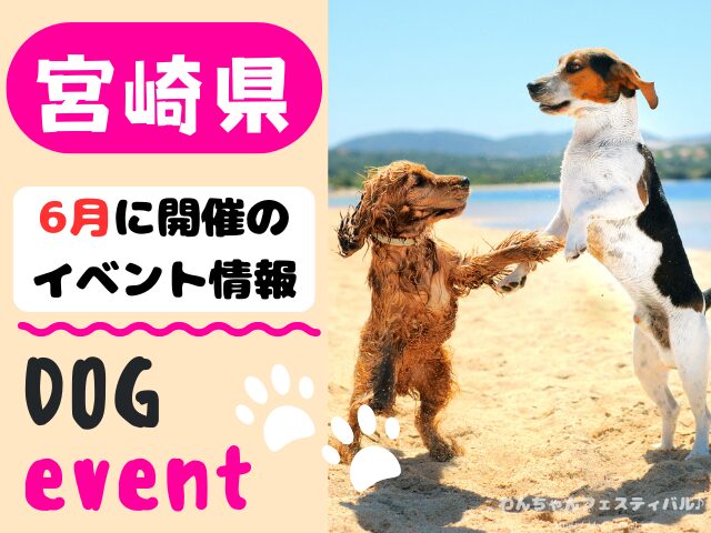 犬イベント　九州　福岡県　佐賀県　長崎県　熊本県　大分県　宮崎県　鹿児島県　2026年　6月