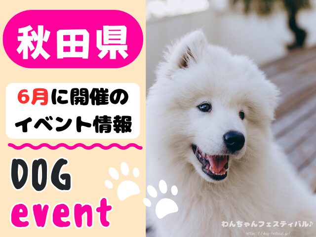 犬イベント　東北地方　青森県　岩手県　秋田県　宮城県　山形県　福島県　2026年　6月