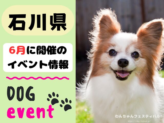 犬イベント　北陸地方　新潟県　富山県　石川県　福井県　2026年　6月